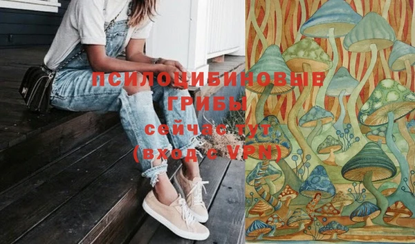 амф Белоозёрский
